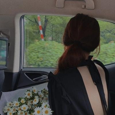 少年自当扶摇上